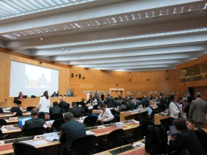 A snapshot of the Mine Ban Treaty Intersessional Meetings in Geneva. 
